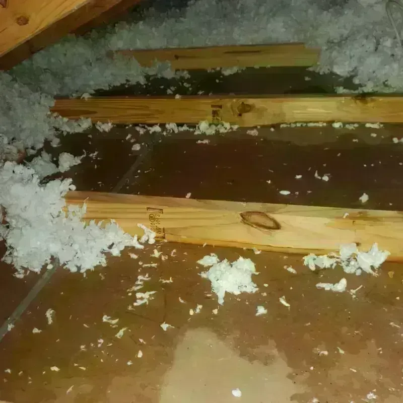 Attic Water Damage in Bevil Oaks, TX